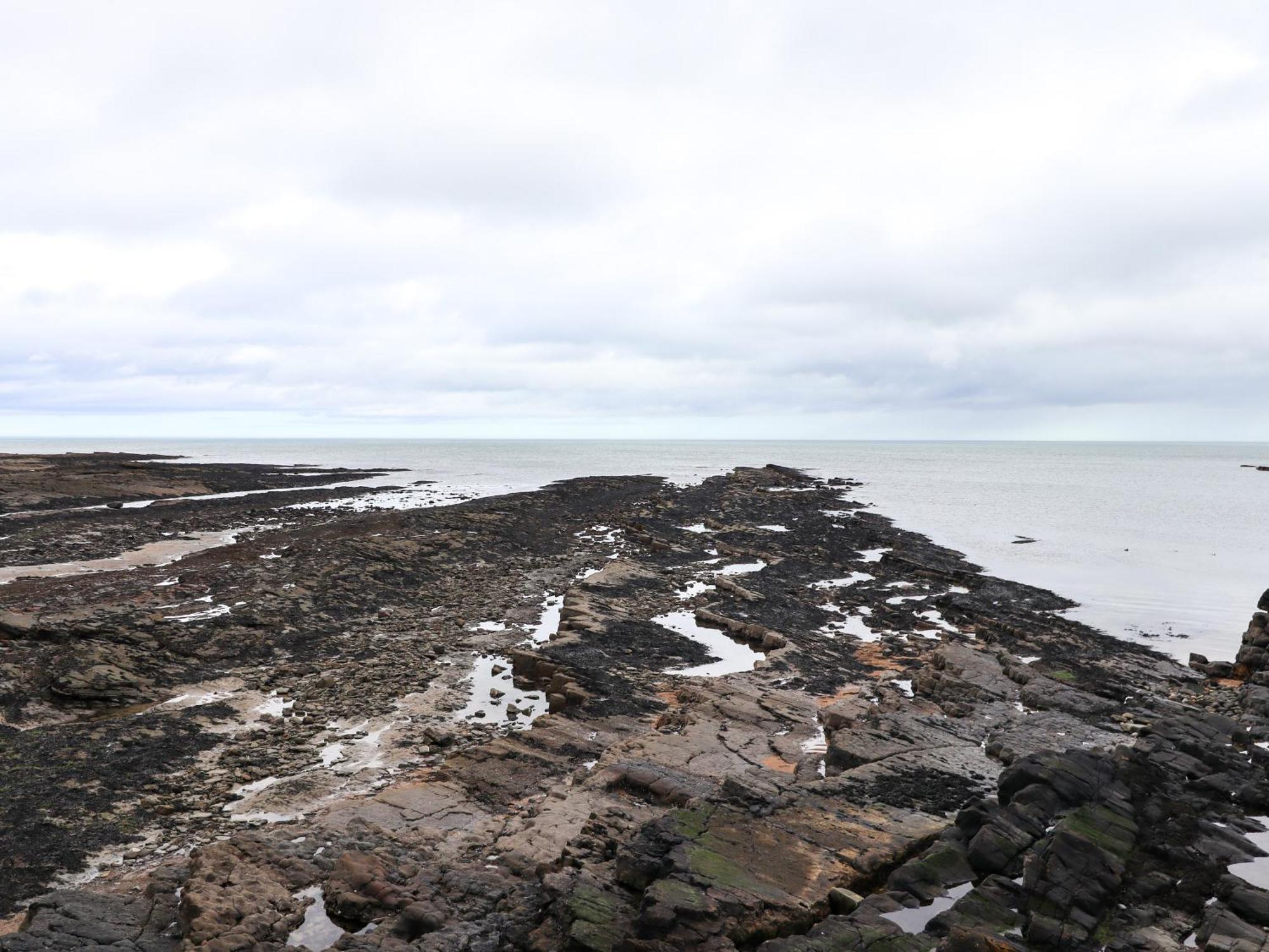 Barnacle Cove Villa Beadnell Exteriör bild