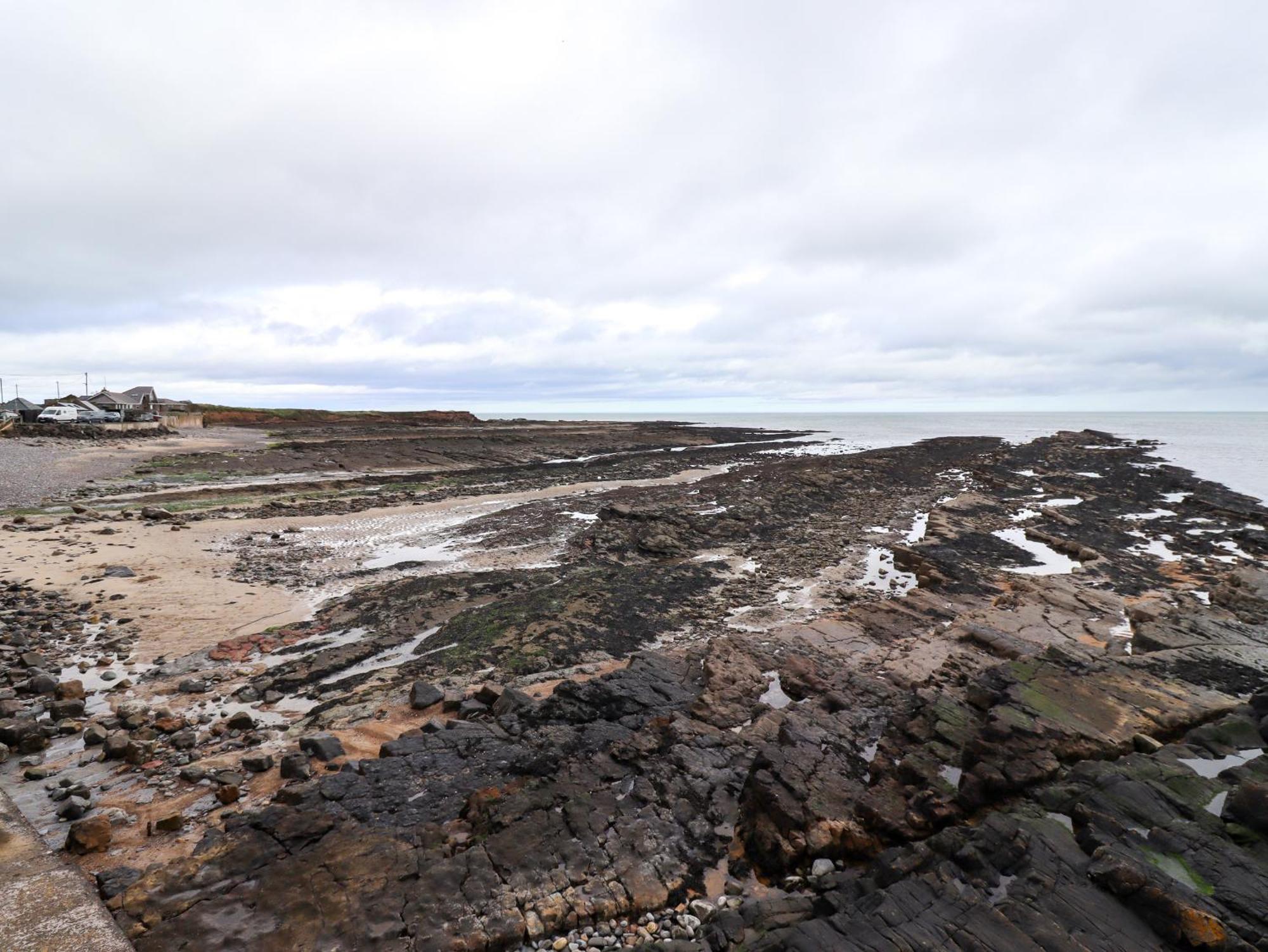 Barnacle Cove Villa Beadnell Exteriör bild